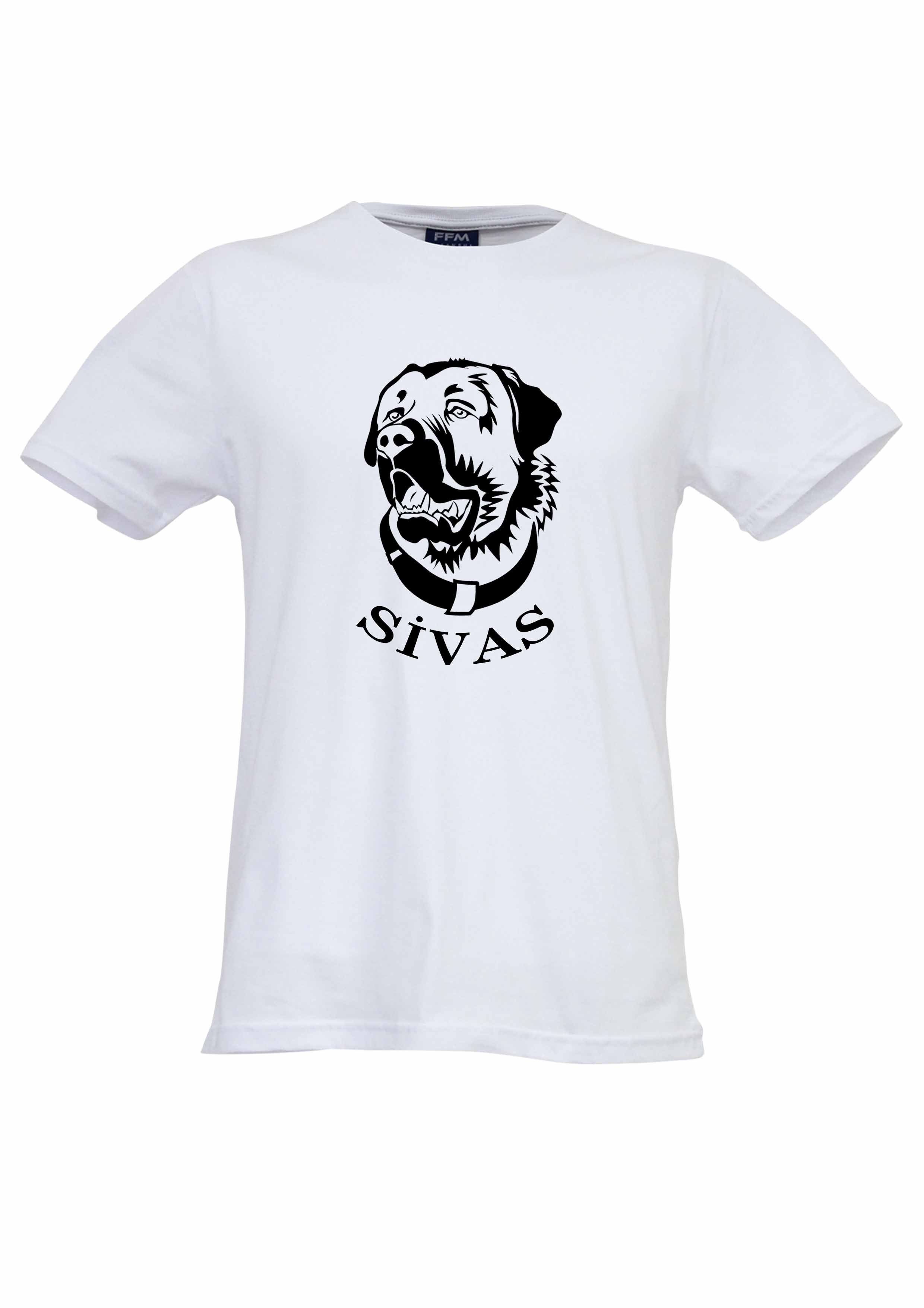 FFM%20İSTANBUL%20SİVAS%20KANGAL%20BASKILI%20BASIC%20T-SHIRT